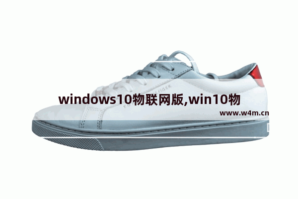 windows10物联网版,win10物联网版可以干嘛