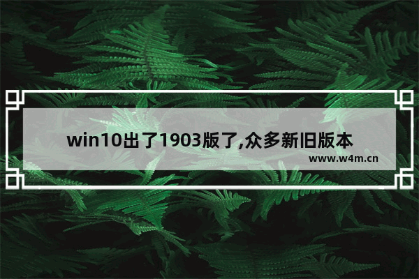 win10出了1903版了,众多新旧版本中哪个好,针对windows10的功能更新1903