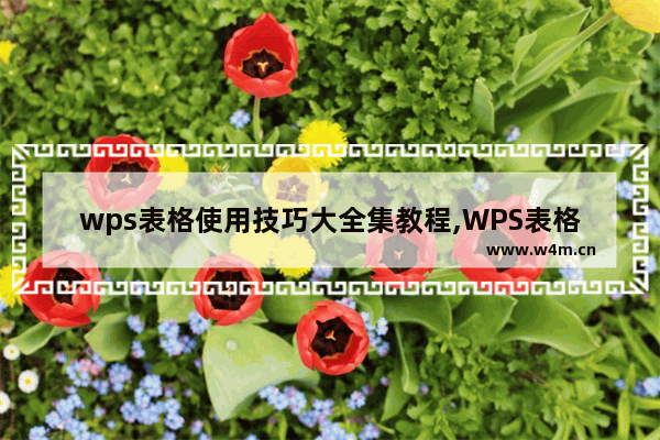 wps表格使用技巧大全集教程,WPS表格基本操作