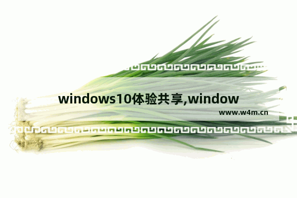 windows10体验共享,window10开启共享