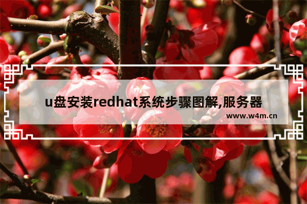 u盘安装redhat系统步骤图解,服务器用u盘安装redhat