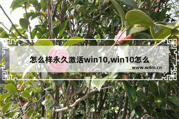 怎么样永久激活win10,win10怎么永久激活方法