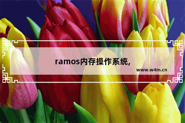 ramos内存操作系统,