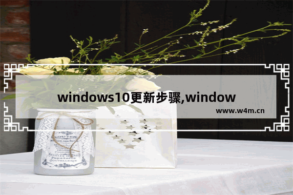 windows10更新步骤,windows 10功能更新