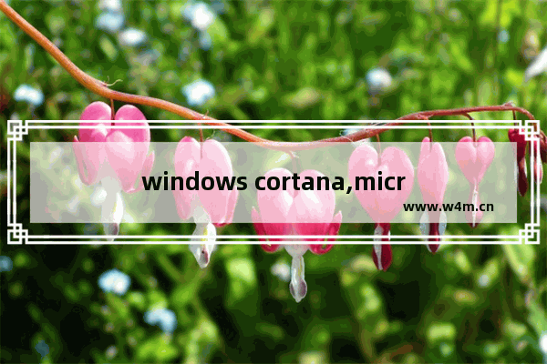 windows cortana,microsoft.windows.cortana