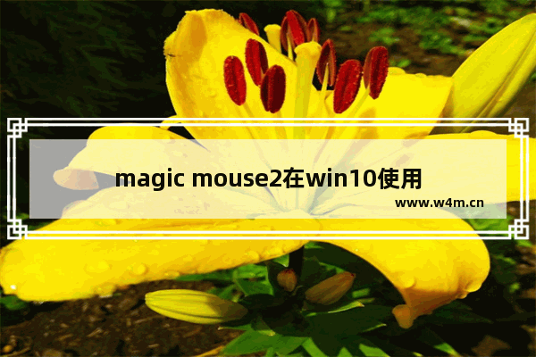 magic mouse2在win10使用教程,How To- Use the Apple Magic Mouse on Windows10