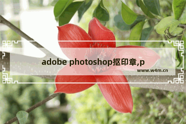 adobe photoshop抠印章,photoshop去印章