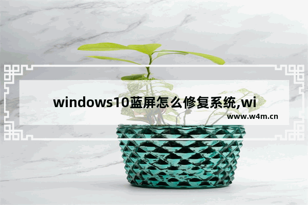 windows10蓝屏怎么修复系统,windows10电脑蓝屏了怎么办修复