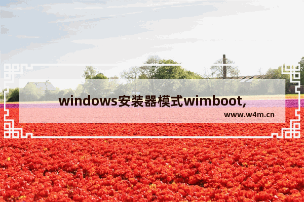 windows安装器模式wimboot,winntsetup模式wimboot