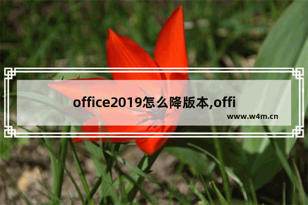 office2019怎么降版本,office升级到2019