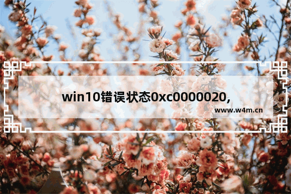 win10错误状态0xc0000020,win10报错0xc000000e