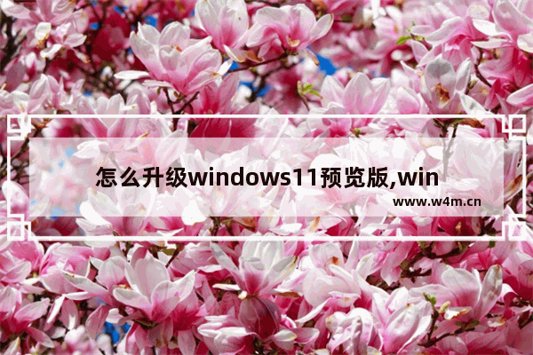 怎么升级windows11预览版,win10怎么升级win11预览版