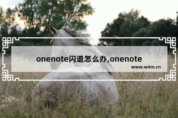 onenote闪退怎么办,onenote闪退解决办法