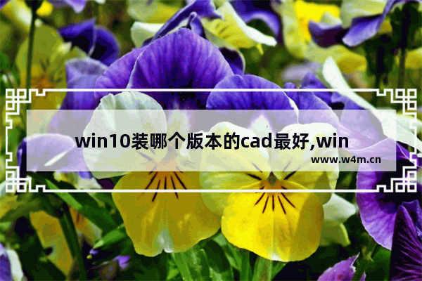 win10装哪个版本的cad最好,win10系统适合安装哪个版本的CAD