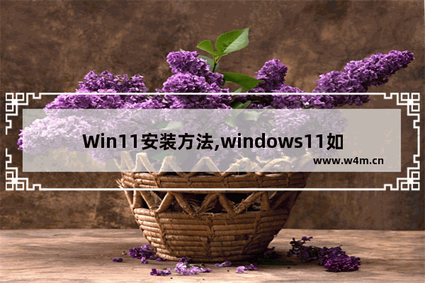 Win11安装方法,windows11如何设置