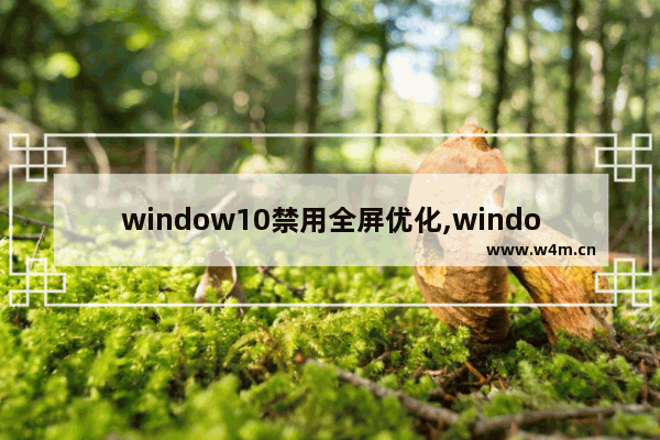 window10禁用全屏优化,windows禁用全屏优化