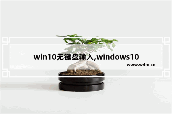 win10无键盘输入,windows10键盘无法输入