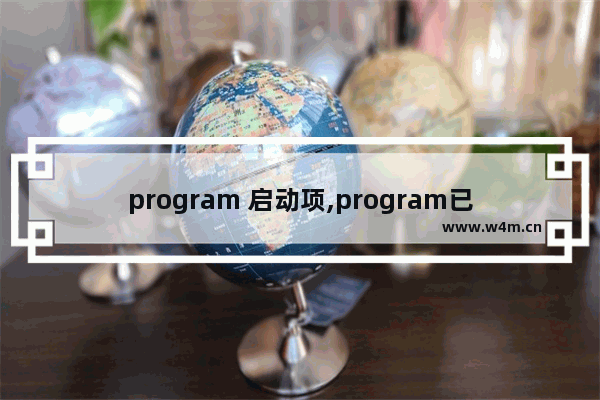 program 启动项,program已启用