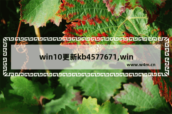 win10更新kb4577671,win10更新kb4601319_2