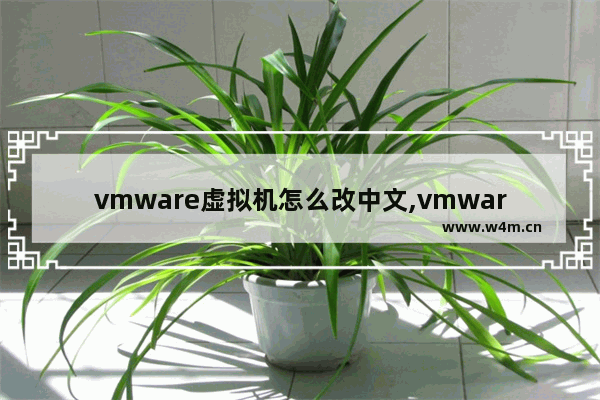 vmware虚拟机怎么改中文,vmware如何改成中文版