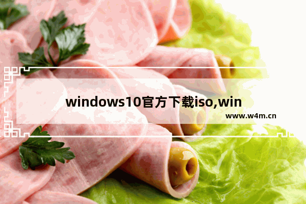 windows10官方下载iso,windows11最新原版iso下载