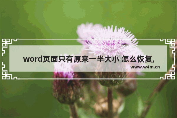 word页面只有原来一半大小 怎么恢复,把word中的页面放小了怎么恢复