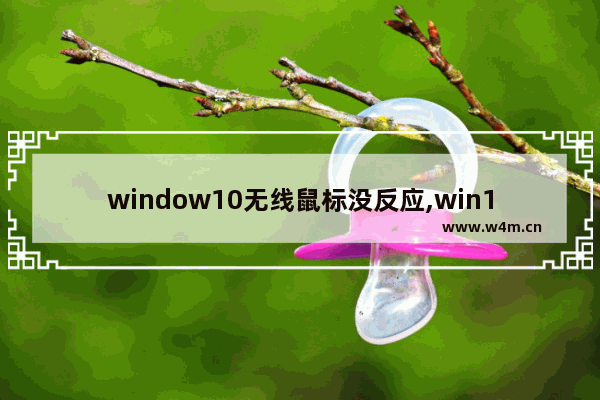 window10无线鼠标没反应,win10无线鼠标无法使用