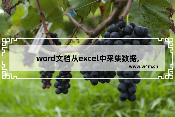 word文档从excel中采集数据,