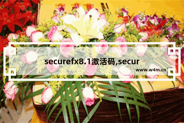 securefx8.1激活码,securefx使用教程