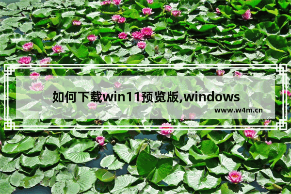 如何下载win11预览版,windows11预览版下载