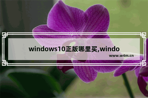 windows10正版哪里买,windows10正版系统怎么买