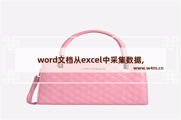 word文档从excel中采集数据,