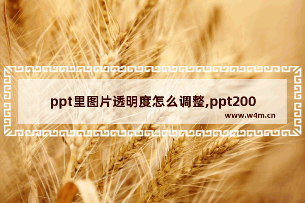 ppt里图片透明度怎么调整,ppt2007如何设置图片透明度