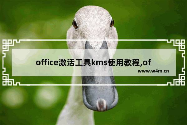 office激活工具kms使用教程,office2013激活工具kms怎么用