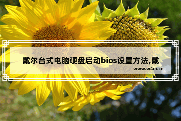 戴尔台式电脑硬盘启动bios设置方法,戴尔台式机bios设置硬盘启动教程