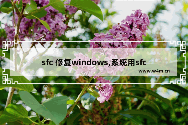 sfc 修复windows,系统用sfc无法修复