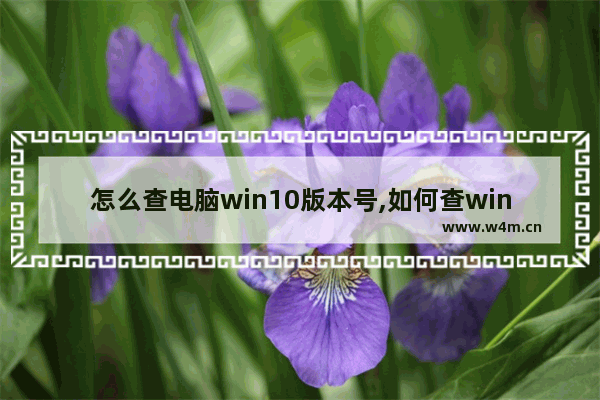 怎么查电脑win10版本号,如何查windows 10版本号