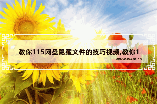 教你115网盘隐藏文件的技巧视频,教你115网盘隐藏文件的技巧是什么