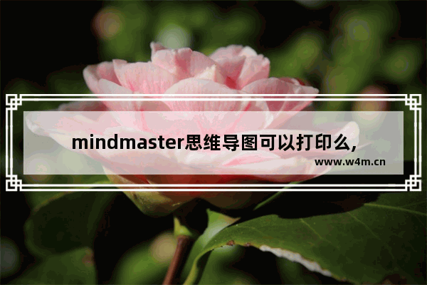 mindmaster思维导图可以打印么,mindmaster怎么导入思维导图