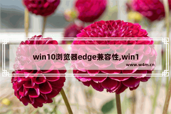 win10浏览器edge兼容性,win10生物识别服务