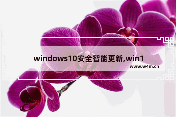 windows10安全智能更新,win10安全模式更新