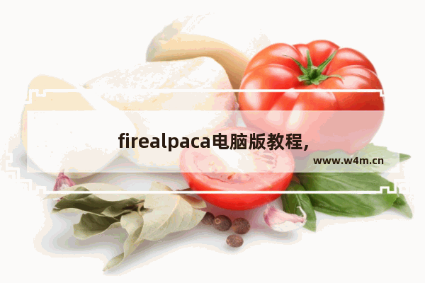 firealpaca电脑版教程,