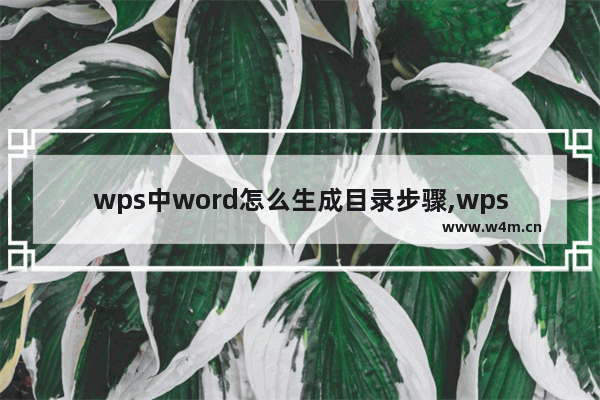 wps中word怎么生成目录步骤,wps的word目录