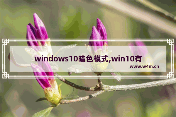 windows10暗色模式,win10有暗黑模式吗