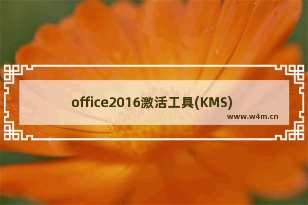 office2016激活工具(KMS) v10.2.5 官方版,office 2016 kms激活