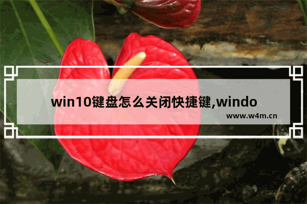 win10键盘怎么关闭快捷键,window10键盘快捷键关闭