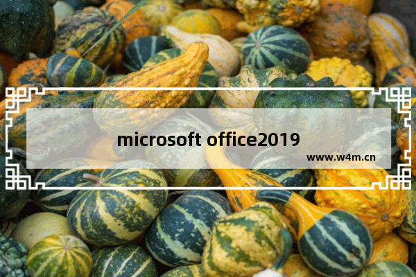 microsoft office2019激活失败怎么办,预装的office2019无法激活