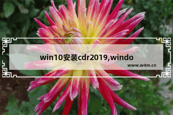 win10安装cdr2019,window10可以安装什么版本的CDR