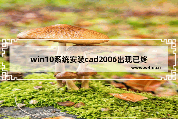 win10系统安装cad2006出现已终止,window10安装cad2006怎么总是提示错误