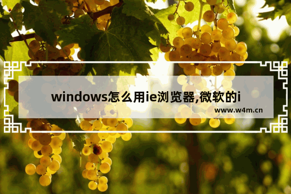 windows怎么用ie浏览器,微软的ie浏览器